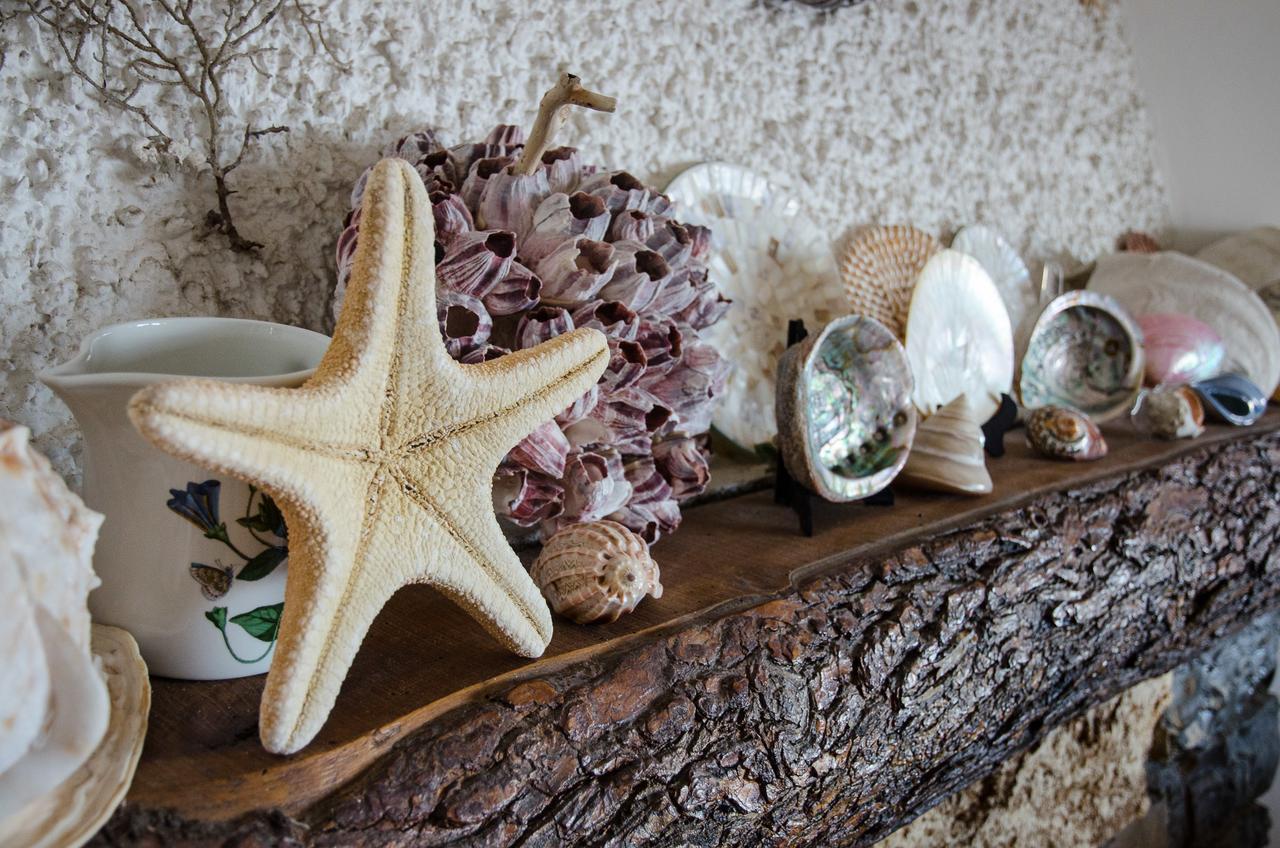 Seaside Holiday Apartment - Unique Location Cipressa Kültér fotó